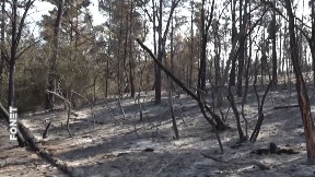 Obnova može trajati decenijama